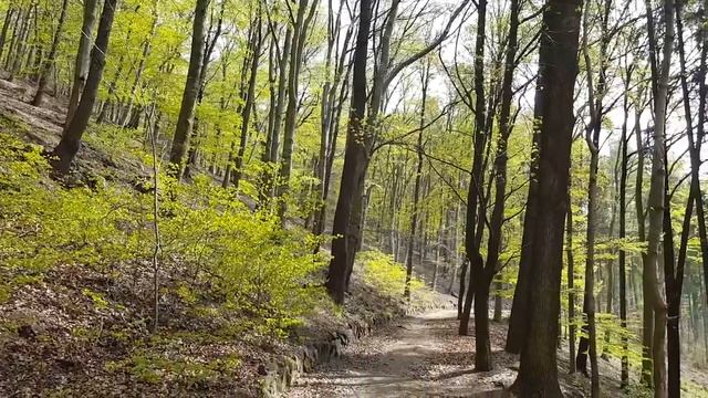 Карловы Вары достопримечательности (karlovy vary) : Часть #3 - смотровые площадки #Авиамания смотреть онлайн