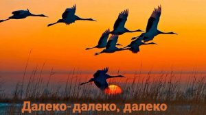 Далеко-далеко, далеко журавли улетели... Христианская песня МСЦ ЕХБ