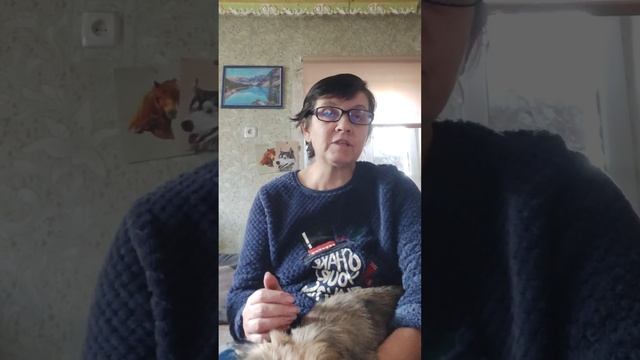 Когда будут лекарства и Лысенко,а где отчёт? смотреть онлайн