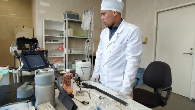 Трансплантация эмбрионов КРС