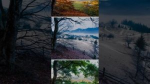 ШОКИРУЮЩАЯ ПРАВДА про Интернет