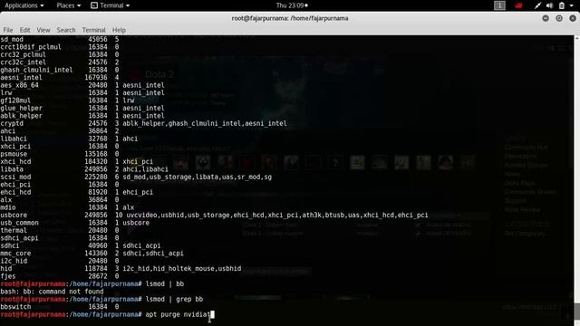 Kali Linux Rolling Bumblebee Nvidia on DOTA2 (Commented by Fajar Purnama, also prevent blank screen смотреть онлайн