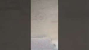 Пороги на Сузуки Джимни 2018-2023