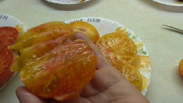 ТОМАТ "ОРАНЖЕВАЯ ЗЕБРА". ДЕГУСТАЦИЯ. Ольга Чернова. смотреть онлайн