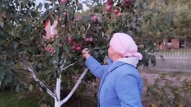 Урожай считаем ящиками смотреть онлайн