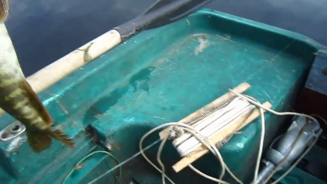 Rapala Shad Rap. смотреть онлайн