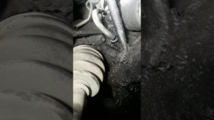 замена датчика распредвала и коленвала Nissan Wingroad QG15de