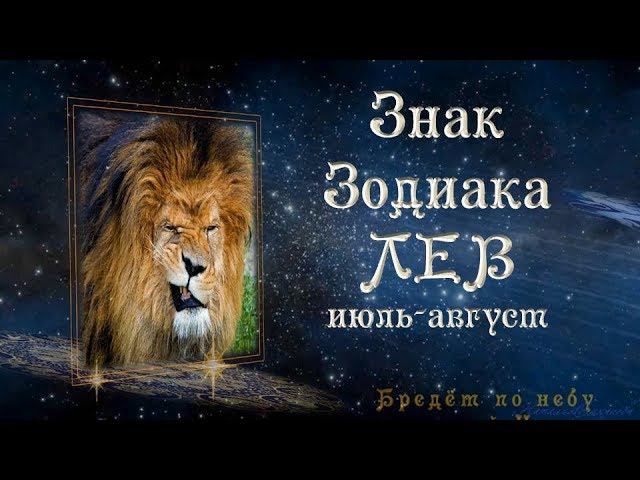 Знак Зодиака Лев июль-август