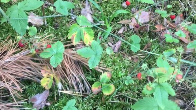 Фильмы о Приключениях и Фэнтези