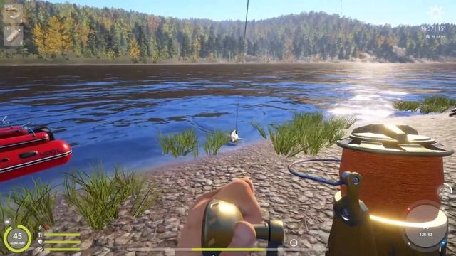 Фарм Осётр Восточносибирский р. Нижняя Тунгуска смотреть онлайн