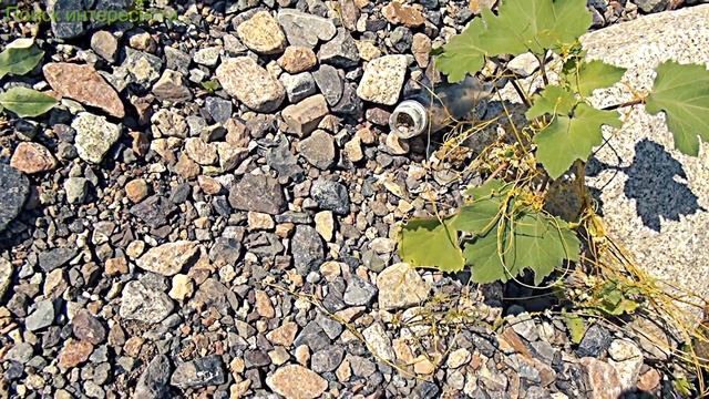 Изумруд можно найти в интересных местах смотреть онлайн