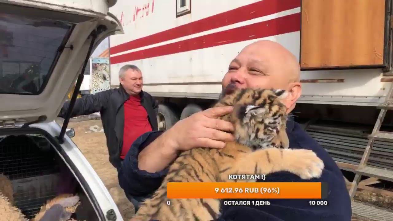 Решили выйти на сколько сможем !) смотреть онлайн