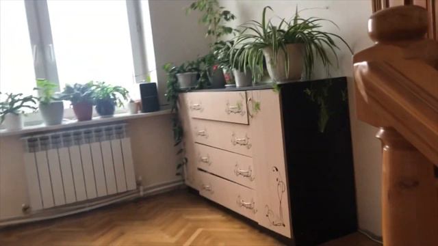 7-11 Января . Закупка на 3 дня. Почему кошки сейчас у нас. Домоседы в деле . смотреть онлайн