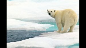 Краткое содержание Сказка о Кише. Лондон Дж. Пересказ за 4 минуты