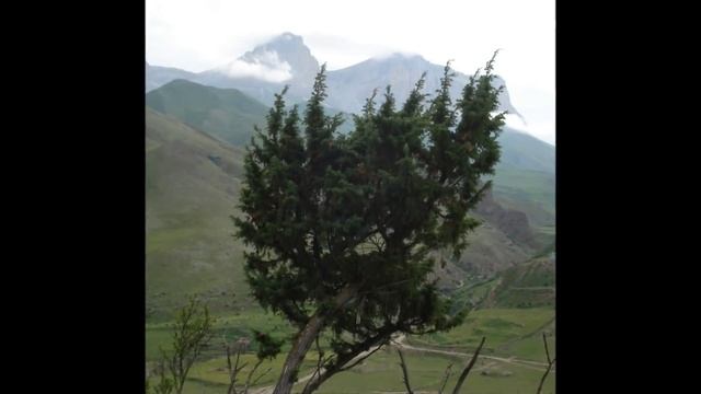 от Меня это было.wmv смотреть онлайн