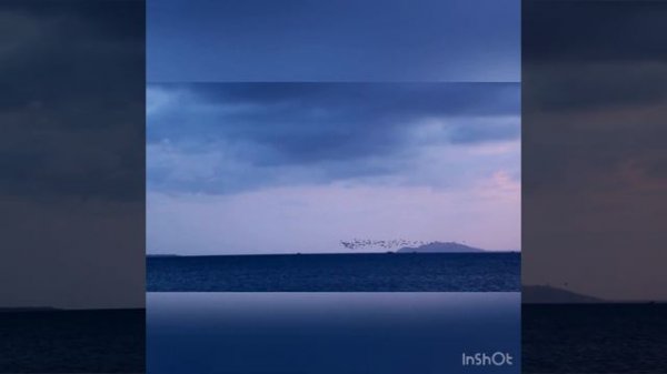 Есть ли у человека предчувствие смерти?