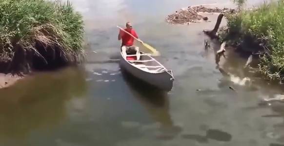 приколы на рыбалке. смотреть онлайн