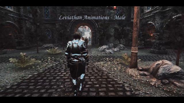 [Skyrim SE/LE] Leviathan Animations - Idle Walk And Run 1.4 + Sprint Animations - Female and Male смотреть онлайн