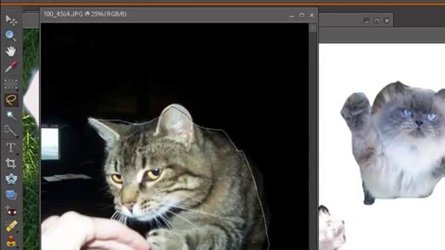 Using Photoshop Elements 7 смотреть онлайн