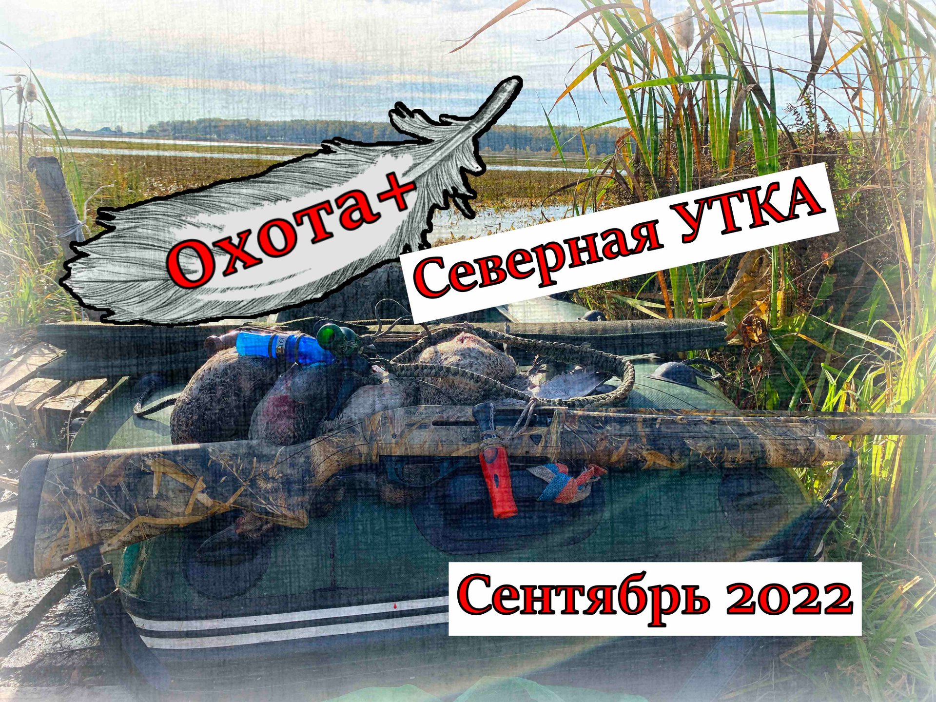 Охота на Северную утку в Сентябре. Рыбалка на сеть. Уток пострелял и рыбы наловил, Ружьё Импала+ смотреть онлайн