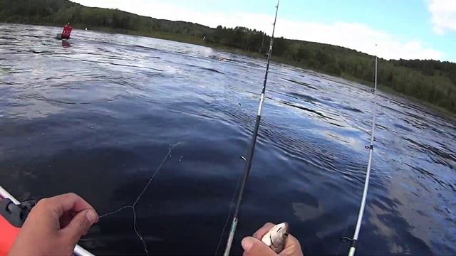 Свозил родственника на рыбалку. Такого клева он не ожидал. Ловим хариуса на Енисее. смотреть онлайн