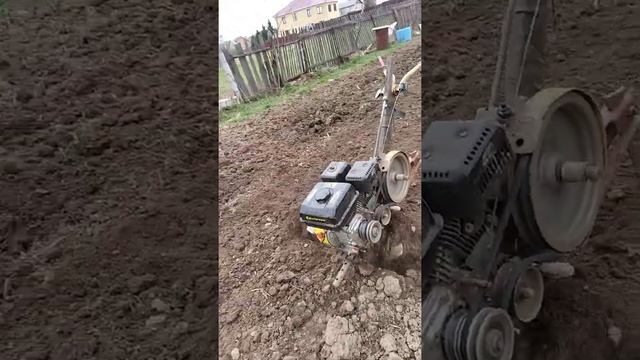 Фрезируем участок мотоблоки нева смотреть онлайн