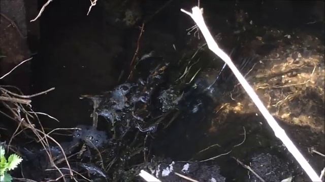Подводная рыбалка с берега на щуку смотреть онлайн