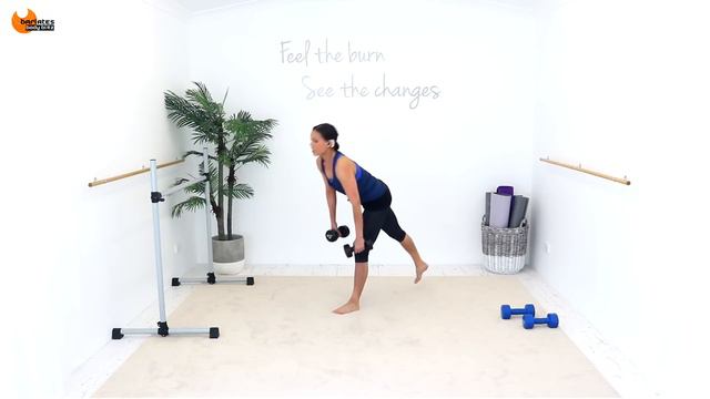 Weights Strength Lower Body Workout - BARLATES BODY BLITZ Lower Strength