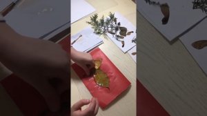 Осенние поделки!