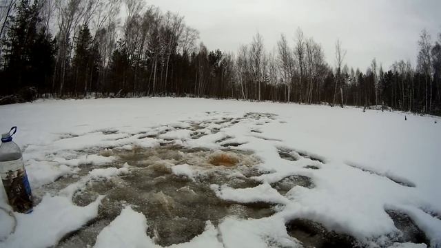 КАК ЛОВИТЬ ЖИВЦА ЗИМОЙ чудо способ смотреть онлайн