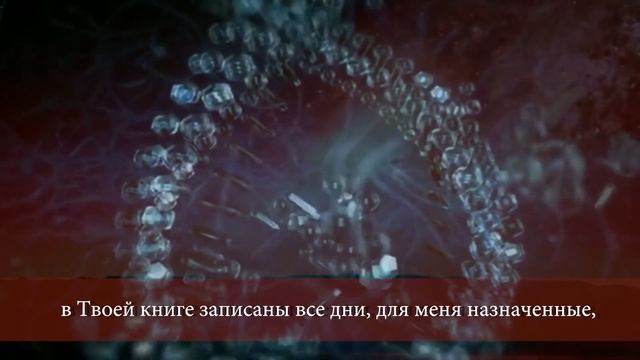 Место из Библии. Наши провозглашения. Псалом 138:13-18 смотреть онлайн