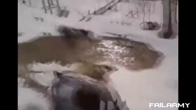 ржака, он упал в воду а другие смеются от души смотреть онлайн