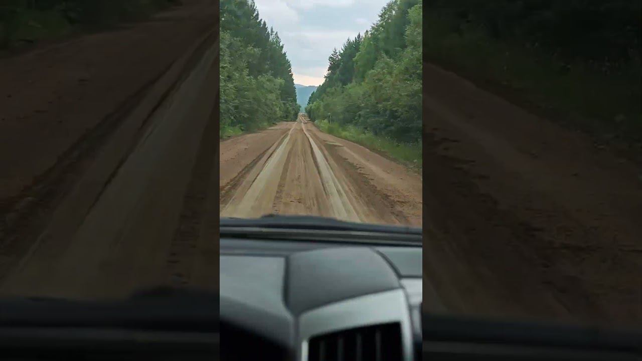 #crazyinstructor смотреть онлайн