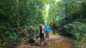 Остались НАВСЕГДА в ДЖУНГЛЯХ!**пока MrBeast не напишет День 5**