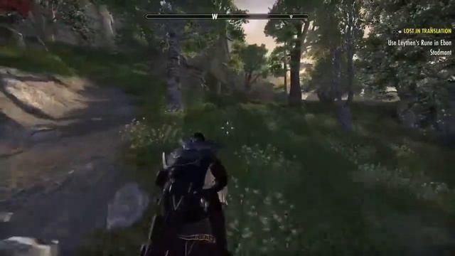 Elder Scrolls Online PLAYSTATION 4 Gameplay