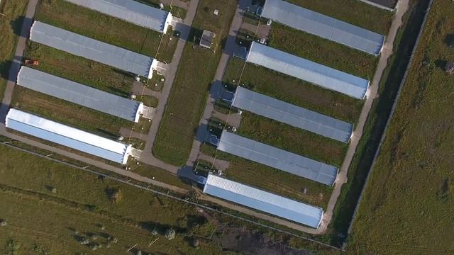 Проект птицефабрики.Проектирование птицеводческих комплексов! смотреть онлайн