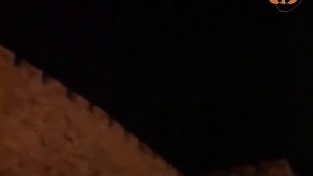 Ковчег Завета смотреть онлайн