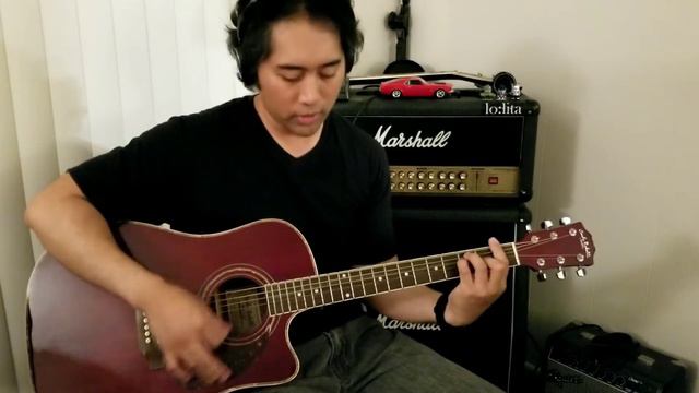 Till There Was You (Beatles) - Guitar Cover смотреть онлайн
