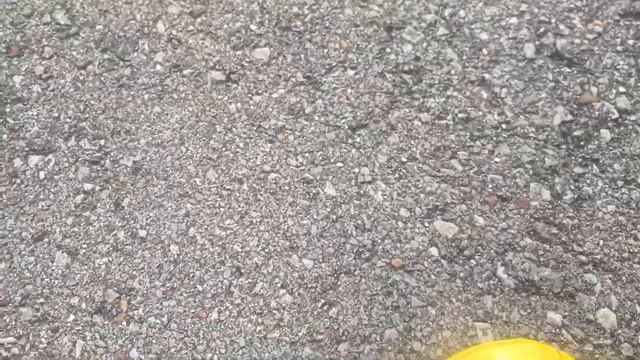 WHO WILL WIN a 2005 Ford Mustang or a 1967 Chevrolet Camaro SS смотреть онлайн