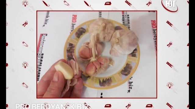 Запах чеснока смотреть онлайн