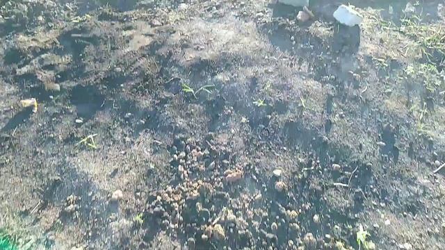 Разбери, восстанови, создай