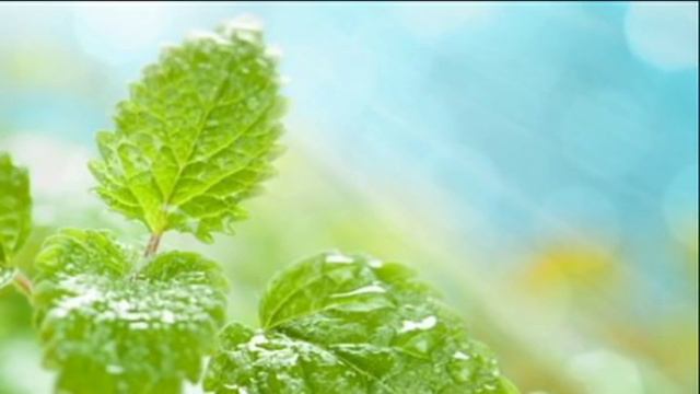 Симорон исполнение желаний легко и просто смотреть онлайн