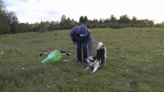 Дикая глушь между Питером и Москвой смотреть онлайн