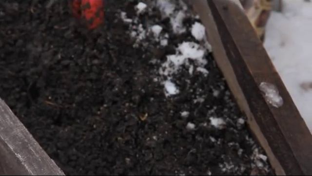 Хочу на дачу! Выпуск 6. Первый выезд на дачу в апреле смотреть онлайн