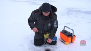 Плотва зимой  Как и какими снастями ловить плотву зимой на мормышку