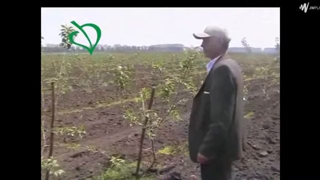 ГУмат калия ФЛЕКСОМ. Влияние на морозостойкость. смотреть онлайн