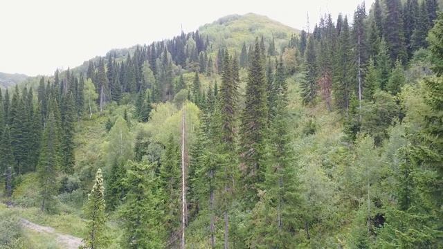 Восточный Казахстан, близ Усть-Каменогорска смотреть онлайн