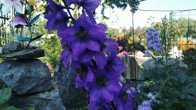 #Осень, #обзор #дачи 31 августа 2020 г. смотреть онлайн