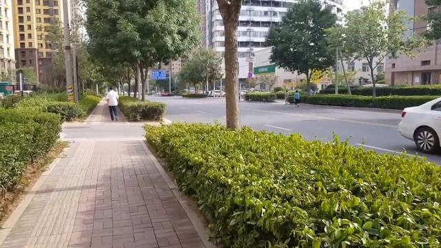 Китайские Ковальские 1 выпуск Жизнь в Китае город Циндао (Qingdao)