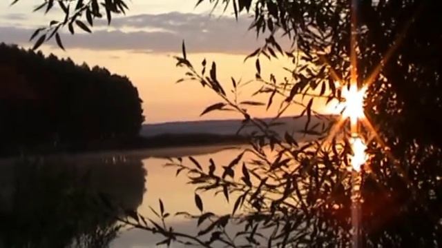 Родина смотреть онлайн